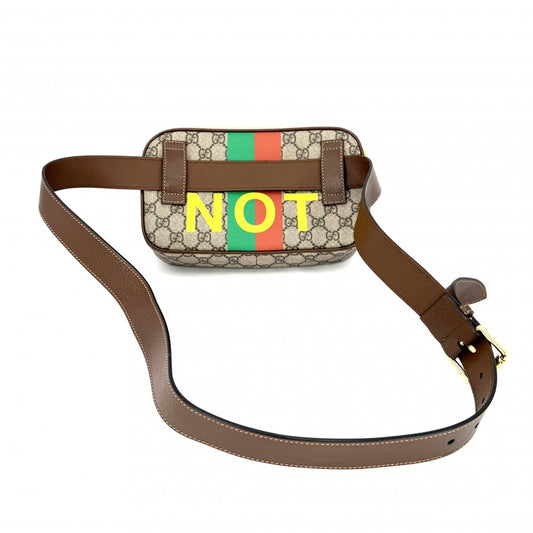 【開店SALE】 GUCCI グッチ ボディバッグ FAKE NOT シェリーライン THE NORTH FACE かばん 鞄 602695 GGキャンバス レザー ベージュ ブラウン 茶 ゴールド金具 ユニセックス【中古品】