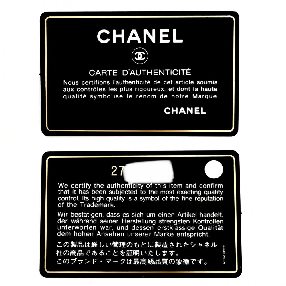CHANEL シャネル ポーチ ドーヴィル ココマーク 小物入れ ラフィア レザー ブラック 黒 ゴールド金具 レディース【中古品】